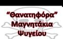 Tα θανατηφόρα μαγνητάκια στο ψυγείο