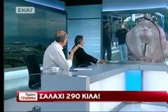 Σαλάχι 290 κιλών στα δίχτυα Ελλήνων ψαράδων