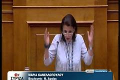 Oμιλία Μαρίας Κανελλοπούλου στην Ολομέλεια της Βουλής για την τροπολογία θεμάτων Πολιτισμού