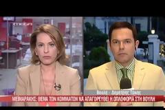 Μεϊμαράκης: Θέμα των κομμάτων να απαγορευθεί η οπλοφορία στη Βουλή