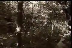 ΕΙΚΟΝΕΣ ΚΑΙ VIDEO : 6 στοιχειωμένα μέρη του πλανήτη και η ιστορία τους...