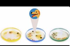 Το doodle της Google για τον Τζούλιους Ρίτσαρντ Πέτρι [video]