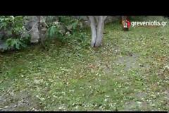 Βιβλική καταστροφή στο Καρπερό Γρεβενών [Video]