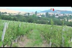 Μεγάλες καταστροφές σε καλλιέργειες στο Νησί του Δήμου Γρεβενών [Video]