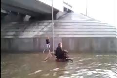 ΑΠΙΣΤΕΥΤΟ βίντεο: Ένας γενναίος σκύλος βοηθάει έναν άνθρωπο σε αναπηρικό καρότσι...