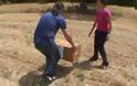 Απελευθέρωση δύο γερακίνων στην Φιλέρημο Ρόδου από το Δίκτυο Διάσωσης Άγριας Ζωής της Αιθρίας