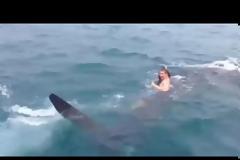 VIDEO: Βούτηξε στο νερό και καβάλησε ένα φαλαινοκαρχαρία!