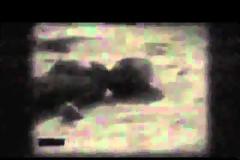 Τελικά υπάρχουν εξωγήινοι [video]