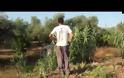 Πάτρα: Ανατροπή IX στον Κάτω Αλισσό - Δείτε video