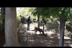 Τηλεφώνημα για βόμβα στο Δικαστικό Μέγαρο Μυτιλήνης