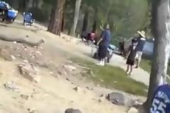 Αρκούδα έκλεψε iPad (video)