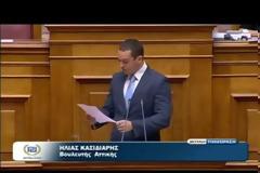 O Hλίας Κασιδιάρης παρουσιάζει στη βουλή το εκκαθαριστικό του