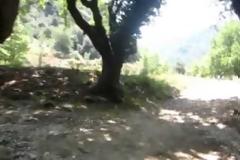 Ήπειρος: ''Γάζωσαν'' τον Mάριαν Κόλα - Το μοιραίο λάθος που του στοίχισε τη ζωή - Τι μεταδίδει η Αλβανική τηλεόραση