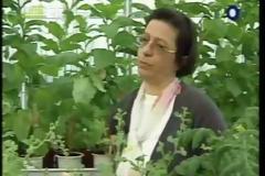 Ντοκιμαντέρ: SLOW FOOD VS FAST FOOD