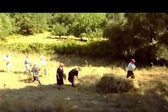 4η Αλωνιάδα Σεβαστού 2013