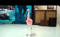 Το ξεκαρδιστικό βίντεο με το φλαμίνγκο που χορεύει!