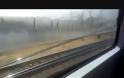 «Ενυδρείο» σε παράθυρο Προαστιακού τρένου [video]