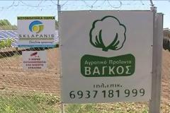 Νέο χαράτσι στα αγροτικά φωτοβολταϊκά. Σε απόγνωση οι αγρότες [Video]