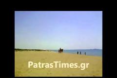 Πάτρα: Για μπάνιο με καμήλες στην παραλία της Kαλογριάς [video]
