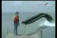 Το βίντεο που σαρώνει στο διαδίκτυο.. 43.000.000 VIEWS !!