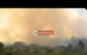 Ανείπωτη καταστροφή στη Θάσο – Στάχτη περισσότερα από 7.000 στρέμματα