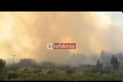 Ανείπωτη καταστροφή στη Θάσο – Στάχτη περισσότερα από 7.000 στρέμματα