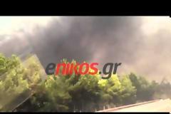 ΠΥΡΙΝΑ ΜΕΤΩΠΑ ΣΤΗ ΡΙΤΣΩΝΑ ΚΑΙ ΤΑ ΨΑΧΝΑ ΕΥΒΟΙΑΣ