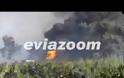 Εύβοια: Κόλαση φωτιάς στην Ριτσώνα - Η πυρκαγιά πλησιάζει στην εθνική οδό
