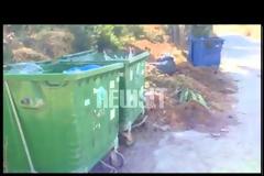 Γυναίκα 60-70 ετών το θύμα του εγκλήματος στη Ραφήνα – Την τεμάχισαν με κουζινομάχαιρο