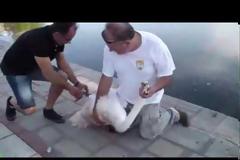 Νέος κάτοικος Καστοριάς! [video]