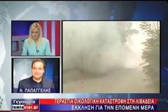 Έκκληση δημάρχου Λιβαδειάς για ζωοτροφές στη Βοιωτία [Video]