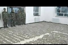 Κατασχέθηκαν κέρατα αντιλόπης αξίας 17 εκατ. ευρώ [video]
