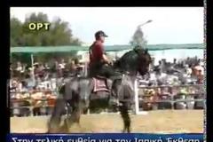 Στην τελική ευθεία η Ιππική Έκθεση Ανδραβίδας!