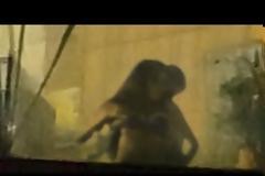 Σάλος από το video που δείχνει άγριο σεξ στο πρωθυπουργικό Mέγαρο!