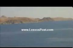 Κοπάδι δελφινιών ανοιχτά της Λήμνου