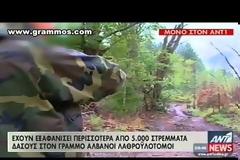 Πάρτυ λαθροϋλοτόμων... Αποψίλωσαν 5.000 στρέμματα δάσους στο Γράμμο [video]