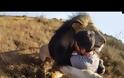 GoPro: μια διαφήμιση, μαγεία!!! [video]