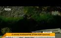 Στον Κορυδαλλό ο Ηλίας Κασιδιάρης [video]