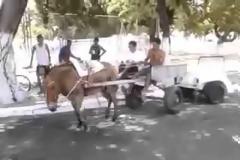 Απίστευτο! Αυτος ο γάιδαρος είναι «άσος» στο παρκάρισμα!