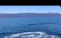 Εξερευνώντας τον Αμβρακικό παρέα με τους Seacleaners [video]