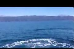 Εξερευνώντας τον Αμβρακικό παρέα με τους Seacleaners [video]