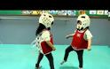 Ο πιο χαριτωμένος αγώνας Taekwondo που έχετε δει [Video]