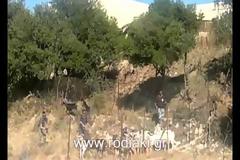 Δασοκομάντος και πάνοπλοι άνδρες της ΔΙΑΣ έστησαν επιχείρηση για να «συλλάβουν» ...αδέσποτα κατσίκια