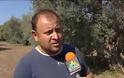 Μηδαμινή παραγωγή και διπλάσιες τιμές από πέρυσι στην ελιά. Σε απόγνωση οι ελαιοπαραγωγοί της Αν. Φθιώτιδας [video]