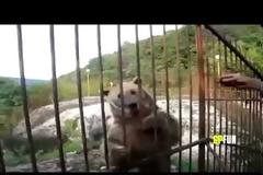 Έτσι είναι στην Ρωσία [Video]