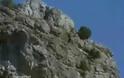 Αετός κυνηγάει αγριοκάτσικα [Video]