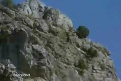 Αετός κυνηγάει αγριοκάτσικα [Video]