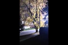 VIDEO: Ηλεκτρική πύρινη μπάλα έσπειρε τον τρόμο