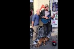 ΑΠΙΣΤΕΥΤΟ VIDEO: Άκουσε... ΠΛΑΝΟΔΙΟ να λέει το τραγούδι του και σταμάτησε να το πουν μαζί!
