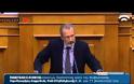 KANEΛΗ: ''ΘΑ ΚΑΤΑΨΗΦΙΣΟΥΜΕ ΩΣ ΕΧΟΥΜΕ ΥΠΟΧΡΕΩΣΗ'' - ΑΛΛΕΣ ΤΟΠΟΘΕΤΗΣΕΙΣ